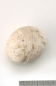 FileNo.138-bon00061.jpg