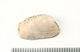 FileNo.138-bon00090.jpg