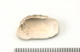 FileNo.138-bon00091.jpg
