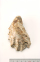 FileNo.138-bon00093.jpg