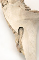 FileNo.138-bon00097.jpg