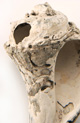FileNo.138-bon00099.jpg