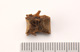 FileNo.138-bon00100.jpg