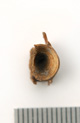 FileNo.138-bon00102.jpg