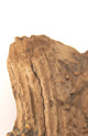 FileNo.138-bon00104.jpg