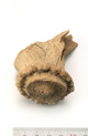 FileNo.138-bon00105.jpg