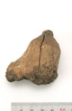 FileNo.138-bon00110.jpg