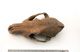 FileNo.138-bon00119.jpg