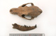 FileNo.138-bon00120.jpg