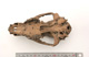 FileNo.138-bon00121.jpg
