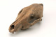 FileNo.138-bon00122.jpg