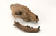 FileNo.138-bon00123.jpg