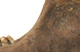 FileNo.138-bon00129.jpg
