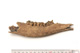 FileNo.138-bon00133.jpg