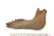 FileNo.138-bon00139.jpg