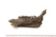 FileNo.138-bon00142.jpg