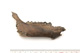 FileNo.138-bon00143.jpg