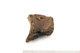 FileNo.138-bon00146.jpg