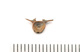 FileNo.138-bon00149.jpg