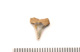 FileNo.138-bon00153.jpg