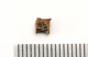 FileNo.138-bon00154.jpg