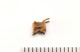 FileNo.138-bon00156.jpg