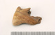 FileNo.138-bon00159.jpg