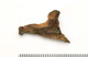 FileNo.138-bon00160.jpg