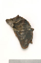 FileNo.138-bon00161.jpg