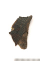 FileNo.138-bon00162.jpg