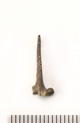 FileNo.138-bon00163.jpg