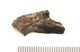 FileNo.138-bon00164.jpg