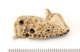 FileNo.138-bon00165.jpg