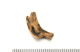 FileNo.138-bon00166.jpg