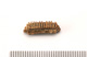 FileNo.138-bon00167.jpg