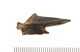FileNo.138-bon00171.jpg