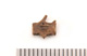 FileNo.138-bon00174.jpg