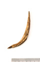 FileNo.138-bon00176.jpg