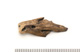 FileNo.138-bon00177.jpg