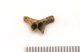 FileNo.138-bon00178.jpg