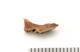 FileNo.138-bon00180.jpg