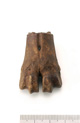 FileNo.138-bon00185.jpg