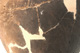 FileNo.138-dok00664.jpg