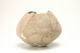 FileNo.138-dok00691.jpg