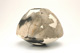 FileNo.138-dok00719.jpg