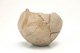 FileNo.138-dok00738.jpg