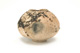 FileNo.138-dok00779.jpg