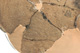 FileNo.138-dok00859.jpg