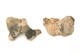 FileNo.138-dok00874.jpg