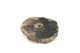 FileNo.138-dok00883.jpg